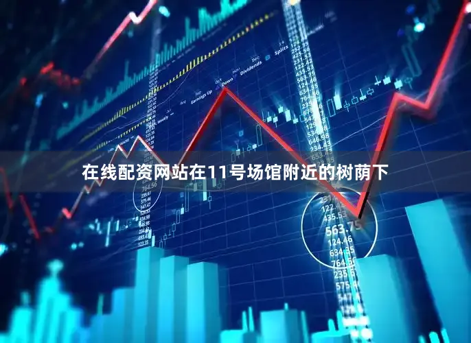 在线配资网站在11号场馆附近的树荫下
