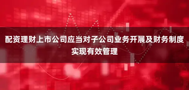配资理财上市公司应当对子公司业务开展及财务制度实现有效管理