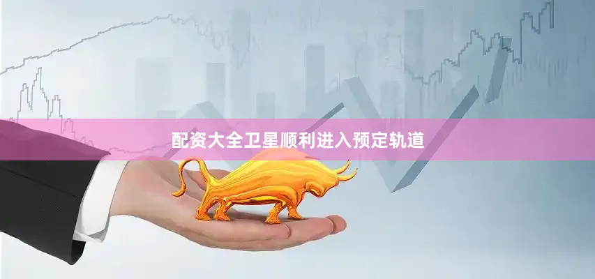 配资大全卫星顺利进入预定轨道